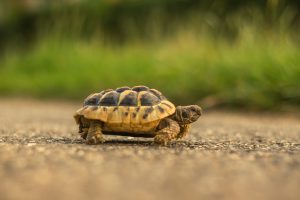 Povijesni razvoj infinitezimalnog računa